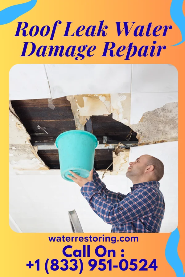Roof Leak Water Damage Repair in Cordova, SC