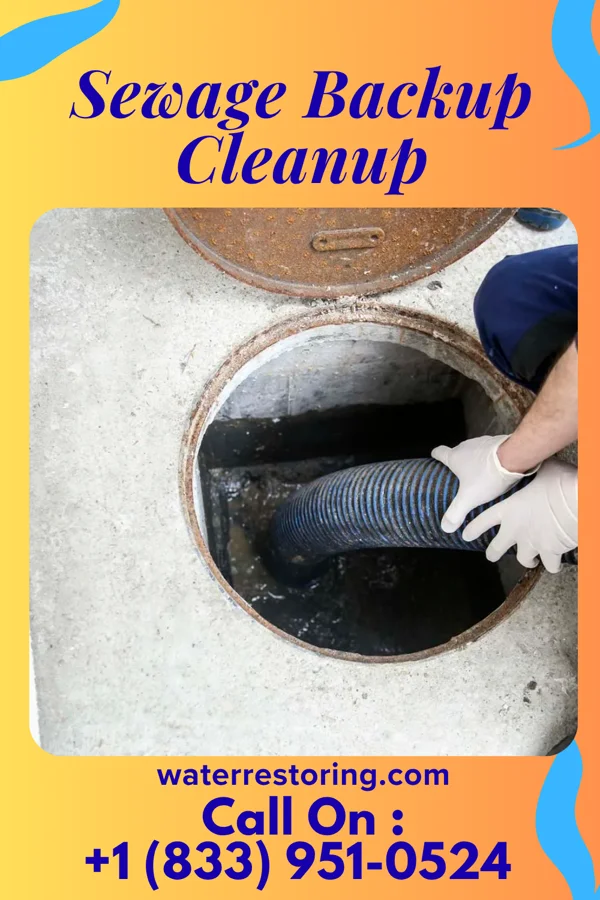 Sewage Backup Cleanup in Cordova, SC